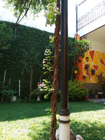 Propiedad en venta barrio Arroyito
