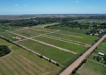 Terreno en venta en El Naranjo - Ibarlucea