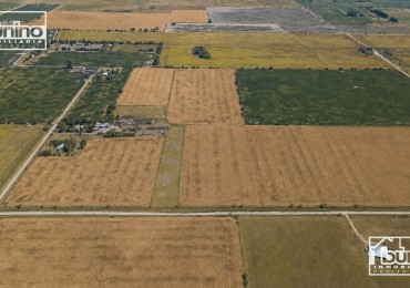 Campo en VENTA en Ibarlucea